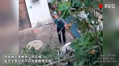 农村大树哥邻居爆料视频,揭秘农村大树哥神秘生活片段  第3张